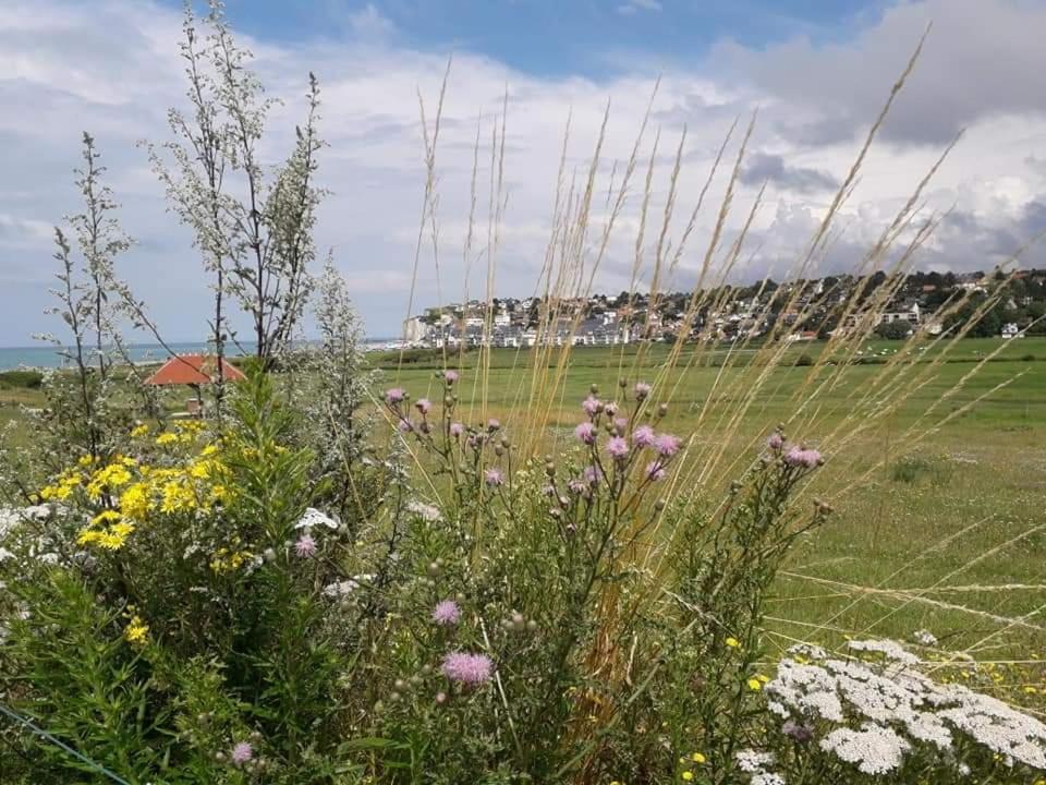 Maison Entiere La Longe'Yeres Saint-Martin-le-Gaillard Exteriér fotografie