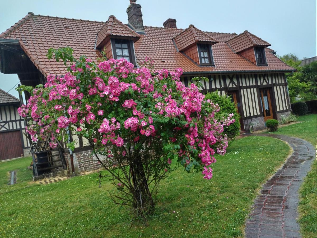 Maison Entiere La Longe'Yeres Saint-Martin-le-Gaillard Exteriér fotografie